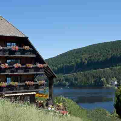 Alemannenhof - Boutique Hotel am Titisee Hotel Exterior