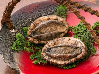 料理 美食と自家源泉を愉しむ静寂の宿　秘湯・鷹ノ巣温泉　鷹の巣館の写真