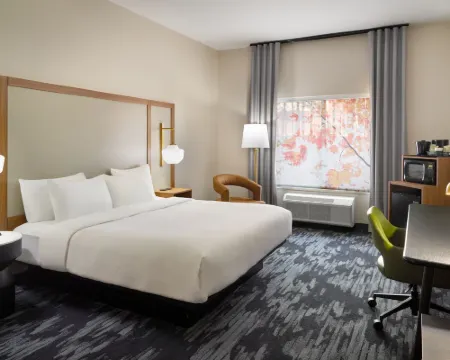 Fairfield Inn & Suites Atlanta McDonough Hotels in Henry County