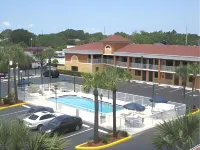 Hotel South Tampa & Suites - Rooftop Pools