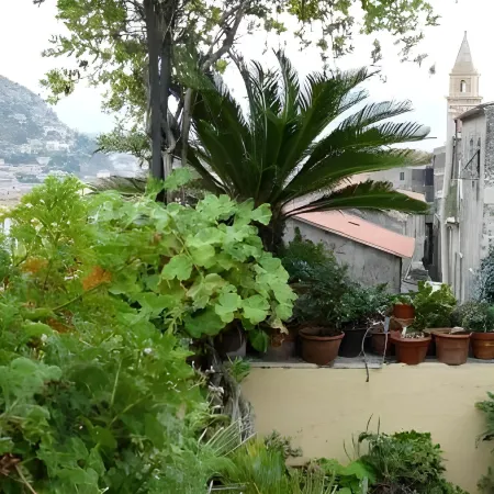 La Terrazza dei Pelargoni B&B