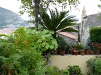 ラ テラッツァ デイ ペラルゴニ B&B