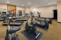 La Quinta Inn & Suites by Wyndham San Antonio Medical Ctr NW - Træningscentre