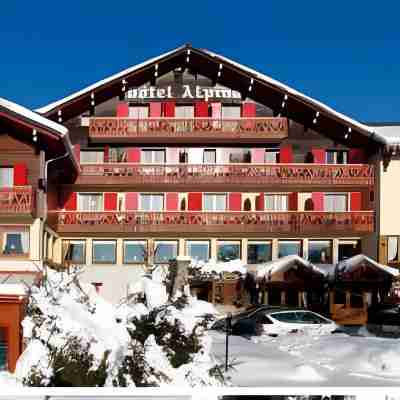 Hôtel Alpina & SPA - Restaurant Oxalis Hotel Exterior