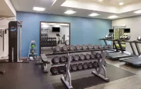 Hampton Inn & Suites Atlanta-Airport North - Træningscentre