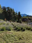 Equs Posada de Campo Hotels in Bariloche