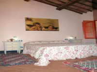 Charming Tuscan countryside retreat Hotels in Asciano