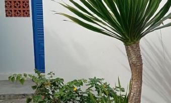 Homestay Mien Bien Vinh Hy 2