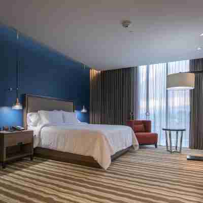 希爾頓花園飯店-奇瓦瓦 Rooms