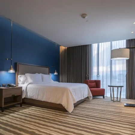 Hilton Garden Inn Chihuahua
