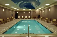 Homewood Suites by Hilton Indianapolis-Downtown - Swimmingpools