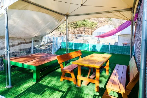 Chuncheon Dog pension Walk the Flower Path