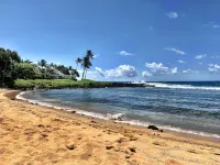 Great Rates Private 4 Br Luxury Home in Poipu - Baby Beach Sleeps 10 Tvnc#1194 - Beach
