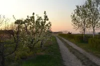 Apartment in strategic position- Garda Lake