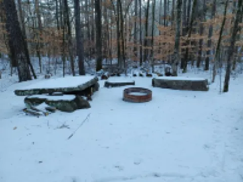 Cabin overlooking creek close to National Forrest a great place to relax 約翰遜縣酒店