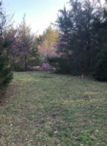 Cute Cabin! Secluded and surrounded by Nature.