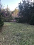 Cute Cabin! Secluded and surrounded by Nature.