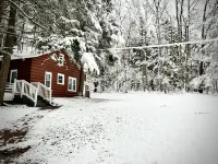 Cheerful 4 rooms Cabin with 2 bath near BU Hotels in Vestal