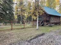 Cozy Alaskan themed cabin suitable for families or couples! King size bed, w/d