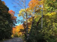 Harbor Springs Cottage In The Woods Hotels in Pleasantview Township