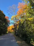 Harbor Springs Cottage In The Woods