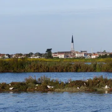 Cottage Les Roses de mer 4