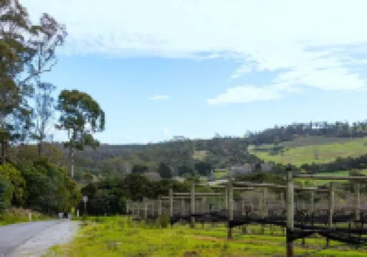 Cloud Nine Apartment @ Tamar Ridge