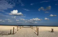 The Place to Beach for the price-Ocean Village Club-Pet friendly