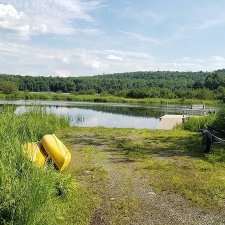 Moose Cabin: Charming 2-bedroom cabin with WiFi, AC in relaxing Sebec