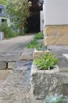 Gründelstube - Gemütliche Ferienwohnung in der Nähe von Bad Schandau