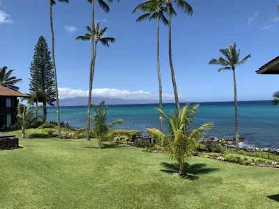 Maui Turtle Condo - Near Kaanapali Beach/Napili Bay, Ocean Front, Turtles