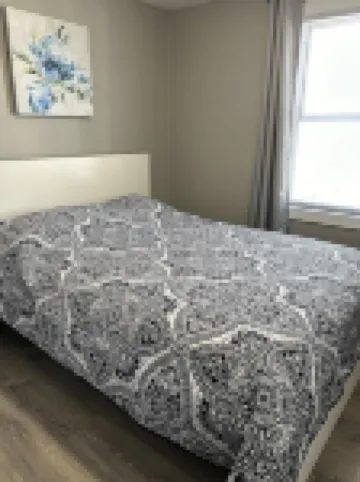 211 Paris St Suites are just minutes from The Ark Encounter