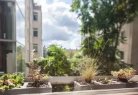 Sunny boutique studio in the center of Berlin