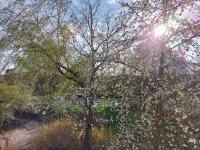 Fewo Landpartie: Oasis of peace in the sunny southern Palatinate - bright and comfortable