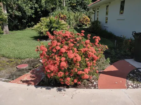 Tropical paradise getaway on the Treasure Coast (FL) Отели рядом с достопримечательностью «сквер Уан»