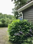 Hutch’s Mountain Cottage- Serene, Clean, & Cozy! 탈룰라 고르게 주립공원 주변 호텔