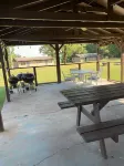 Remote Get Away! - Renovated 3 Bedroom Cabin on Bull Shoals Lake.