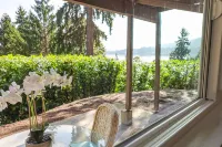 Convenient Lakeview 1 bed 1 bath home in Bellevue