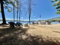 Harold's Camp: The cutest waterfront right on Lake Winnipesaukee ⚓️
