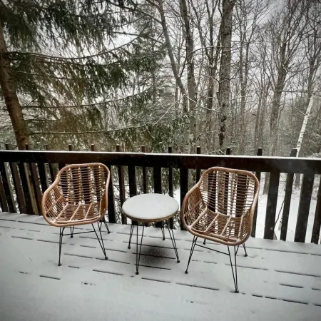 6 Guest 3Br, 2 BA Stratton Condo with Fireplace and Forest Views.