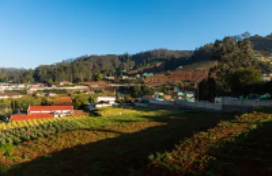 แมกโนเลีย เบดแอนด์เบรกฟาสต์