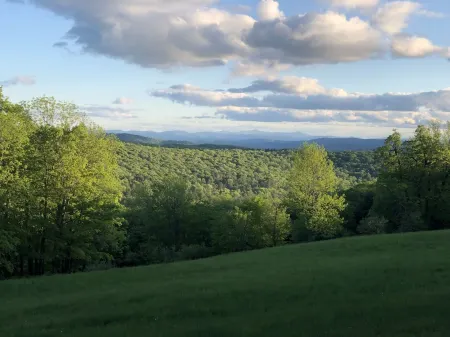 Brookside cabin on Budding Homestead