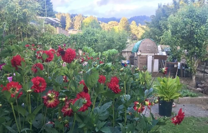 Sunnybrae Garden Studio