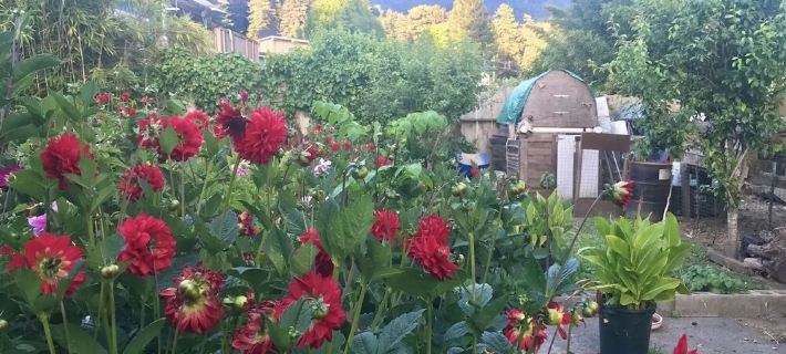 Sunnybrae Garden Studio Hotels in Arcata