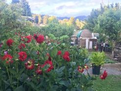 Sunnybrae Garden Studio