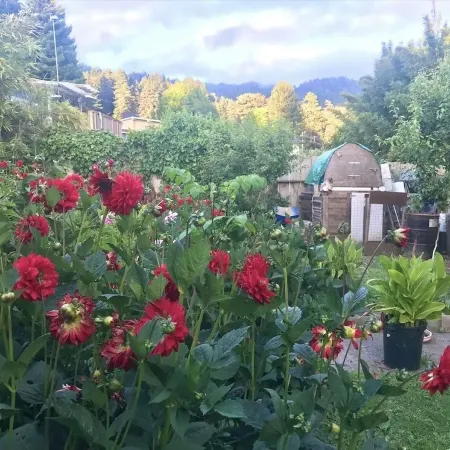 Sunnybrae Garden Studio