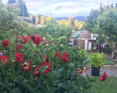 Sunnybrae Garden Studio Hoteles en Arcata