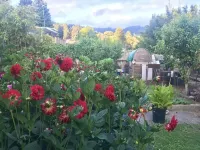Sunnybrae Garden Studio - Boutique
