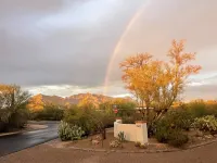 Serene, tree-shaded, mid-century retreat with beautiful views of the Catalinas Hotels in Casas Adobes