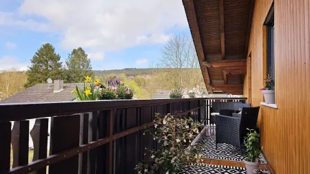 Apartment Moni Отели в г. Оденвальд